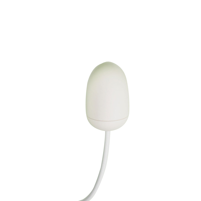 Accessories-small vibrator